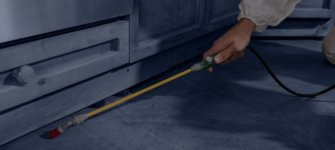 Pest control technician spraying treatment outside a home